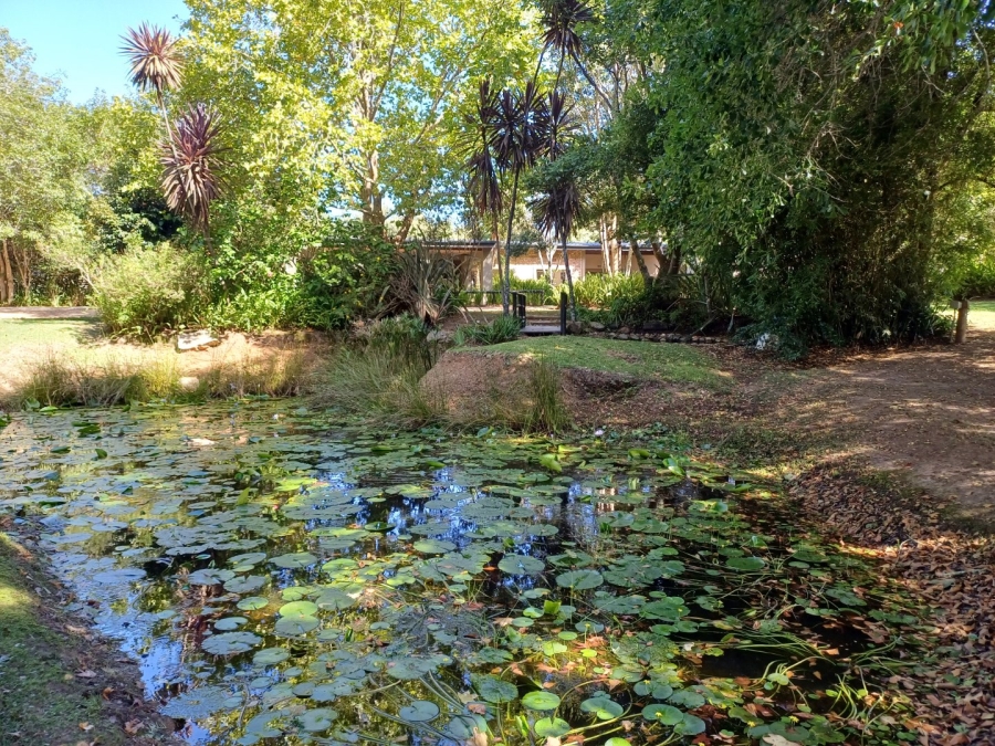 5 Bedroom Property for Sale in Wilderness Heights Western Cape